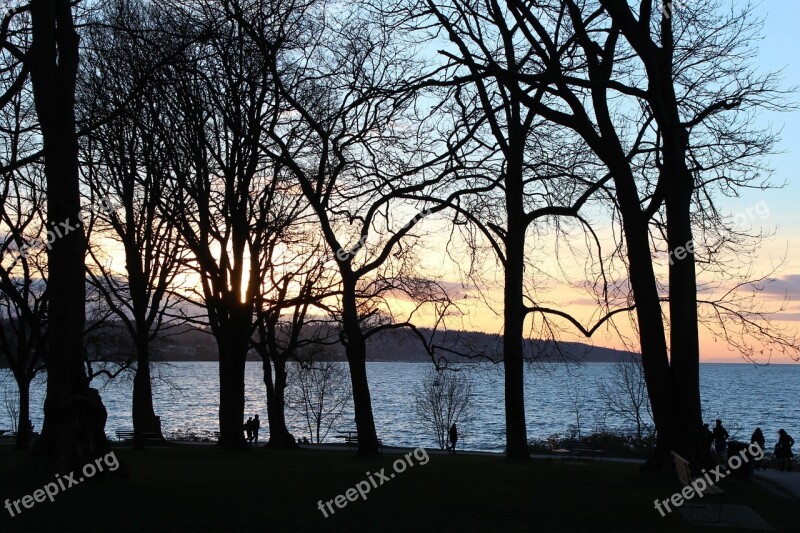 Sunset Kitsilano Beach Vancouver Bc Free Photos