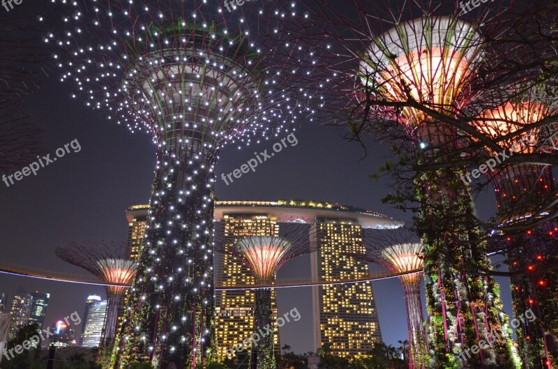 Singapore Garden By The Bay Tripnight Fire Artificial Trees