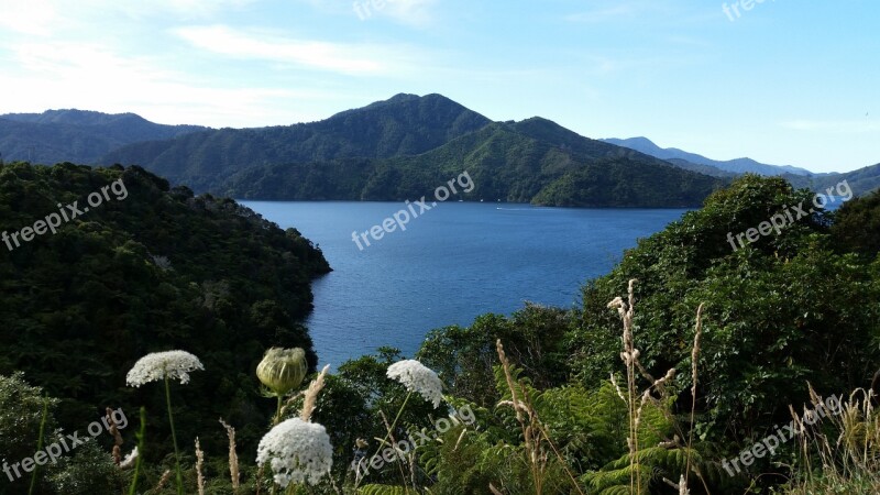 Mountain Landscape Nature Wildflowers Water