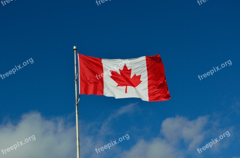 Canadian Flag Canada Maple Country Immigration