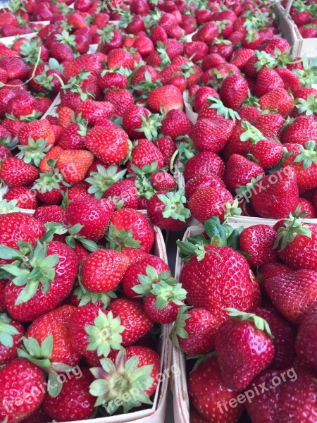 Strawberries Farmers Market Fruit Juicy Sweet