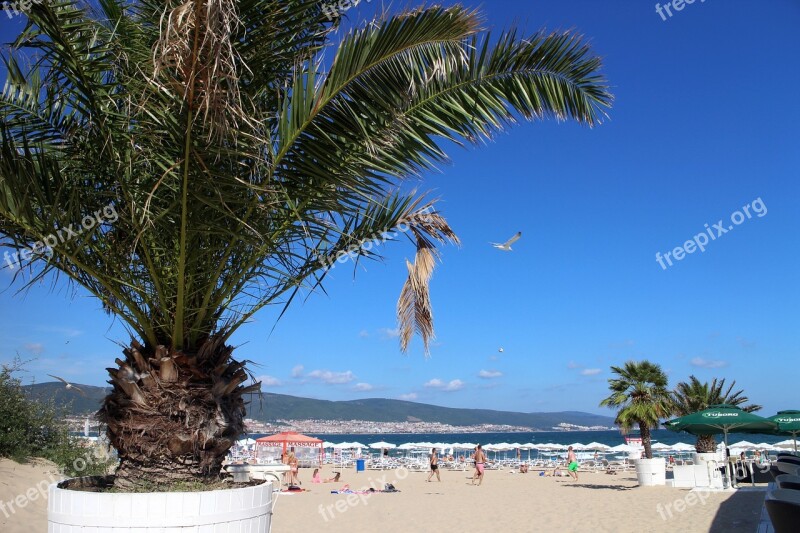 Palma Beach Holiday Sand The Coast