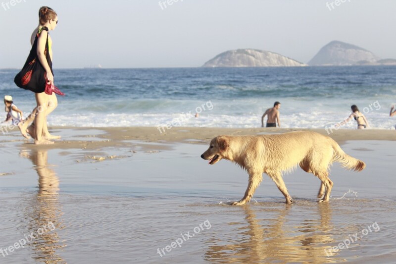 Summer Beach Sol Dog People