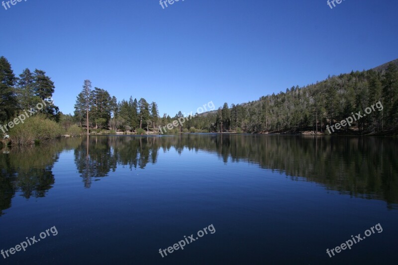 Lake Jenks Lake Blue Sky Reflections On The Water Forest