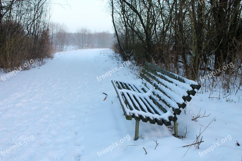 Bench Snow Snowy Bench Path Natural