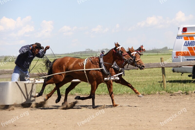 Horse Chariot Batoche Free Photos