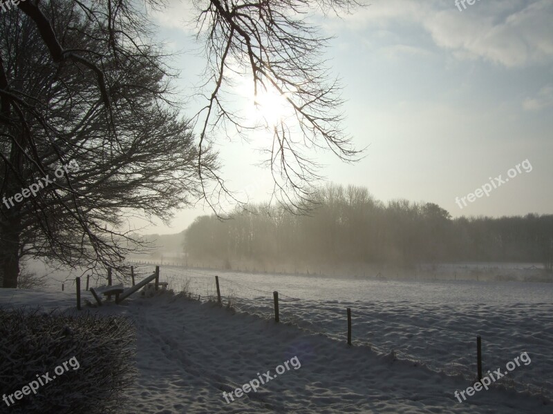 Winter Landscape Snow Snowy Freezing Forest