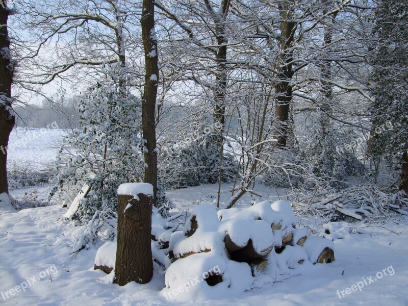 Winter Snow Landscape Trees Vechtdal