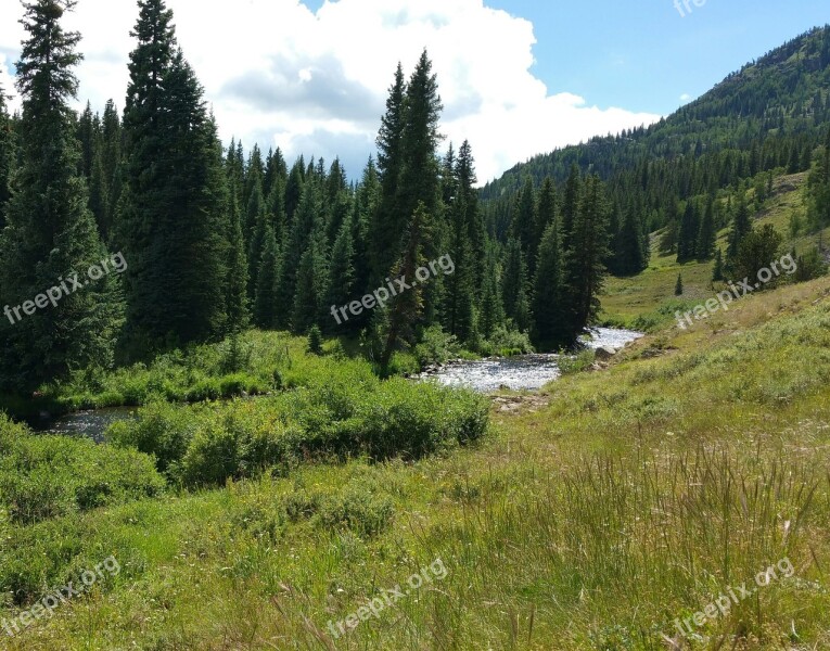 Mountains Landscape Trees Forest Green