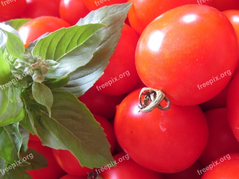 Tomato Basil Red Green Healthy