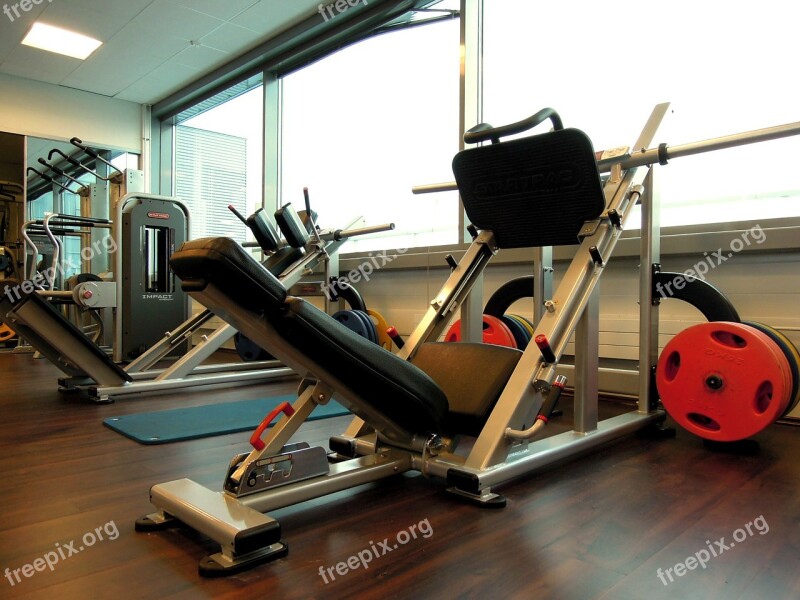 Sports In The Gym Weights The Device Exercise In