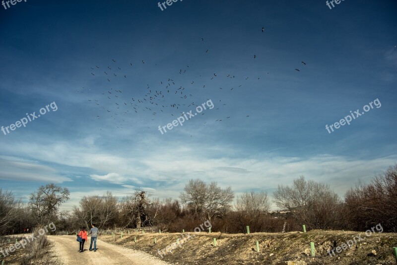 Trail Walk Birds Migration Path