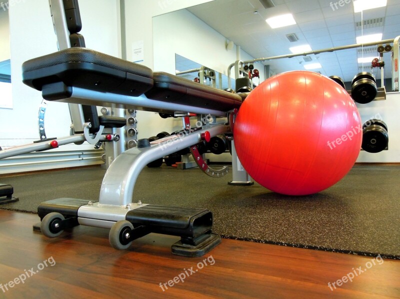 Ball Gym Ball In The Gym Mirrors Lights