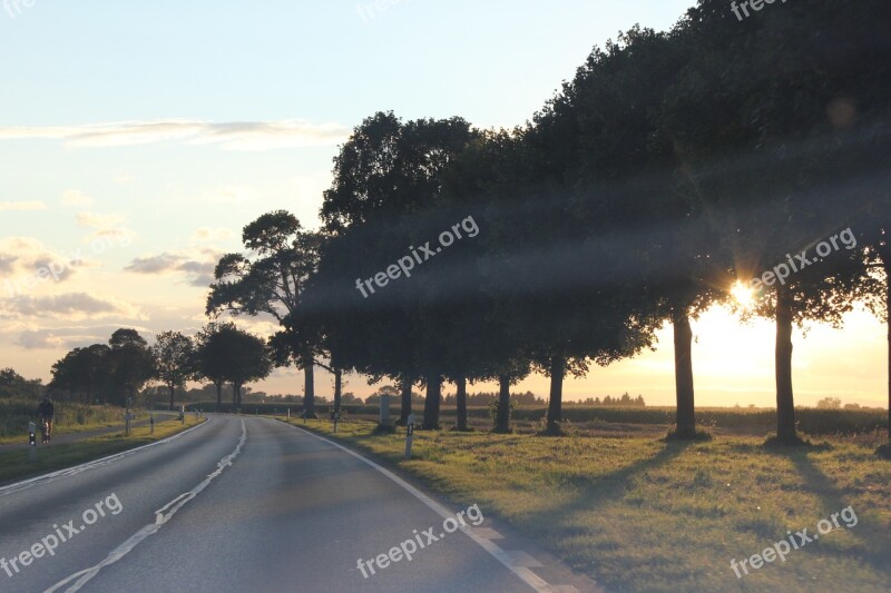 Street Road Route Nature Trees