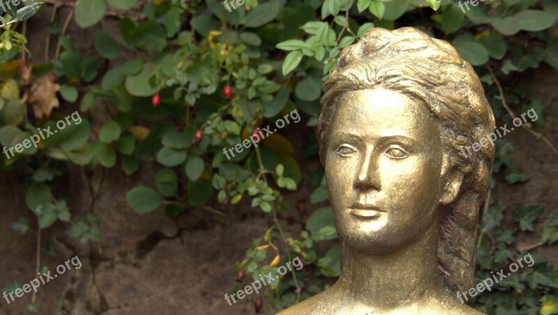 Portrait Bust Gilded Artwork Face