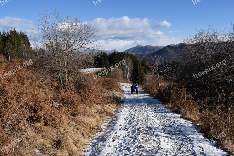 Winter Landscape Landscape Mountain Winter Cold