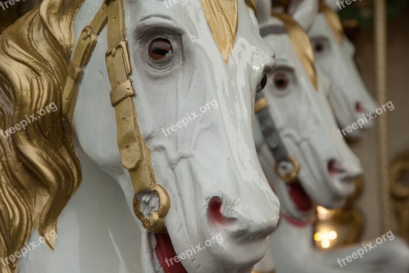 Manege Carousel Wooden Horses Fun Fair Free Photos