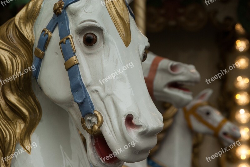 Manege Horses Wooden Horses Carousel Free Photos