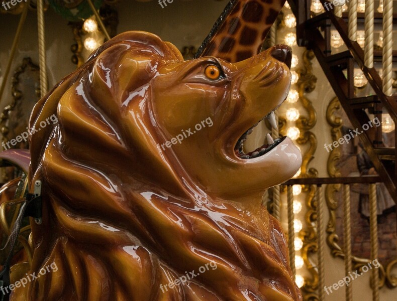 Manege Carousel Lion Fun Fair Free Photos