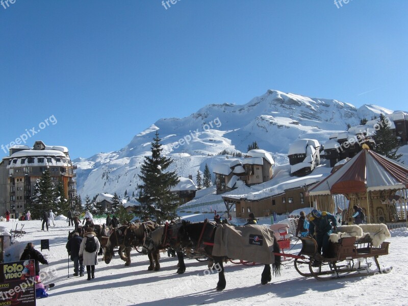 Sledge Horse Snow Skiing Ski