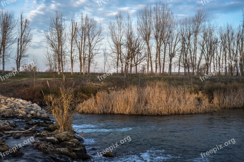 Rivera River Water Trees Tree