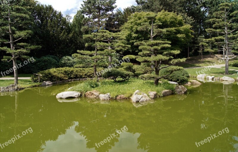 Japanese Garden Lake Water Background Image Park