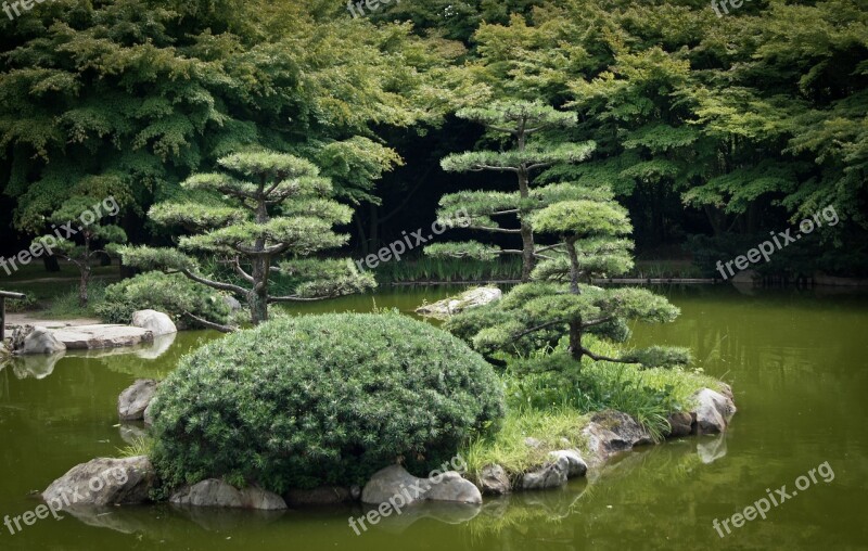 Japanese Garden Lake Water Background Image Park