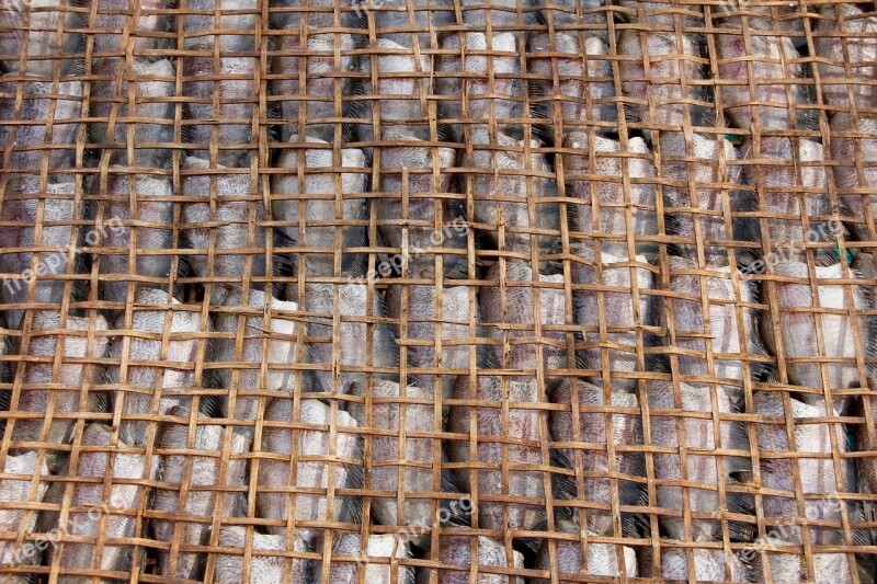 Fish Market Marketplace Dried Fish Fresh