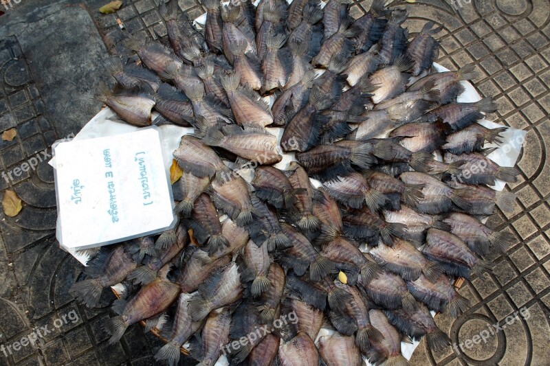 Fish Market Marketplace Dried Fish Fresh