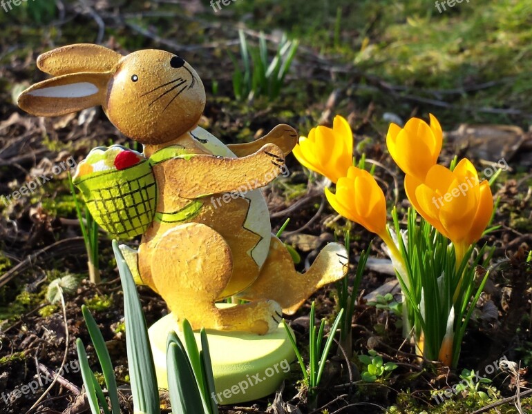 Easter Easter Bunny Spring Hare Flowers