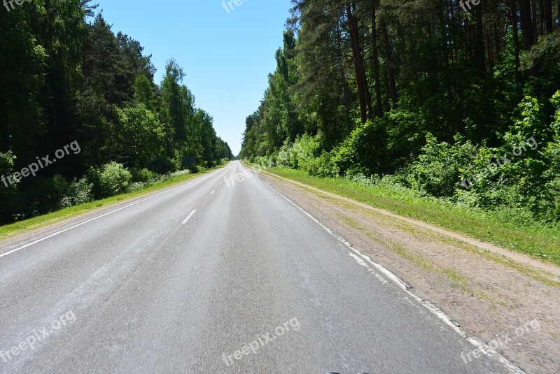 Forest Road Asphalt Photo Free Photos