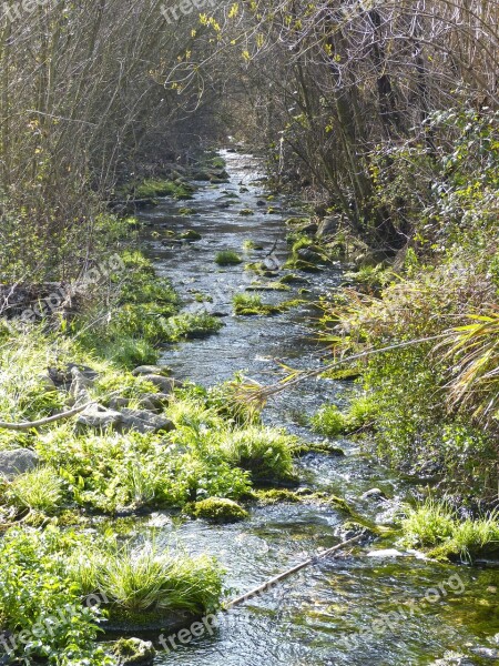 River Brook Siurana Current Natural Water