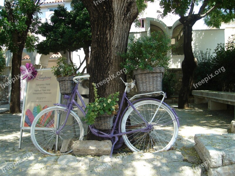 Bicycle Flowers Vintage Trash Free Photos