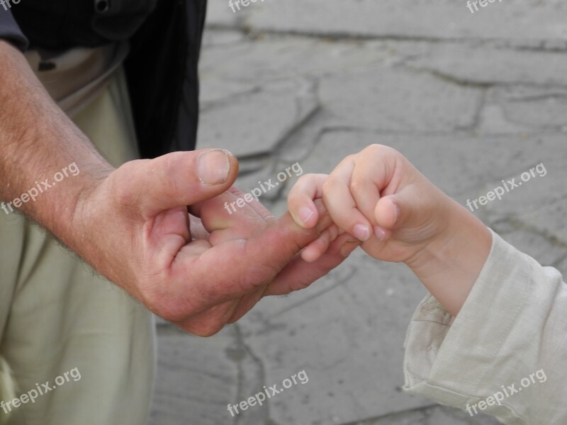 Hands Human Hands Young And Old Trust Free Photos