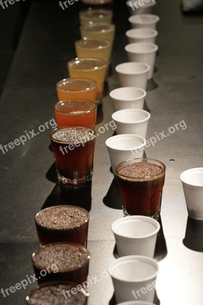 Cupping Coffee Tasting Coffee Scorching Free Photos