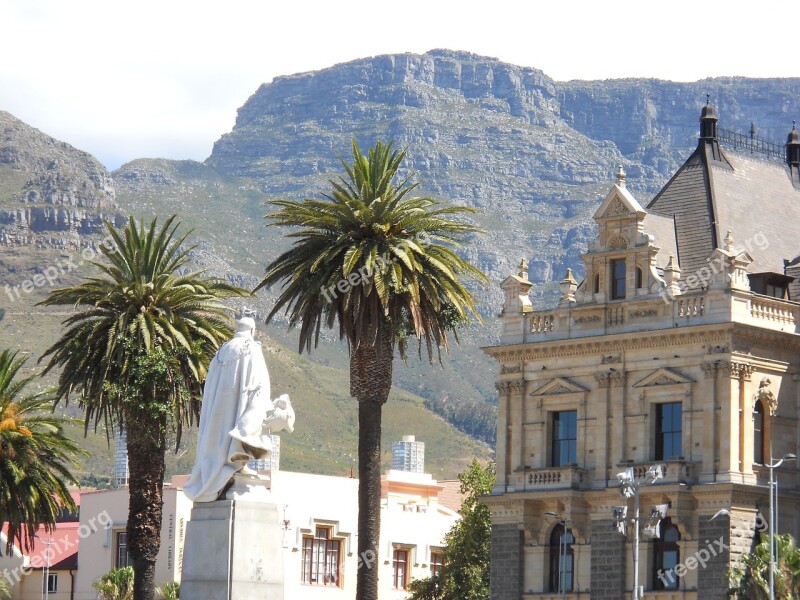 Cape Town Palm Trees Sunny Travel South Africa