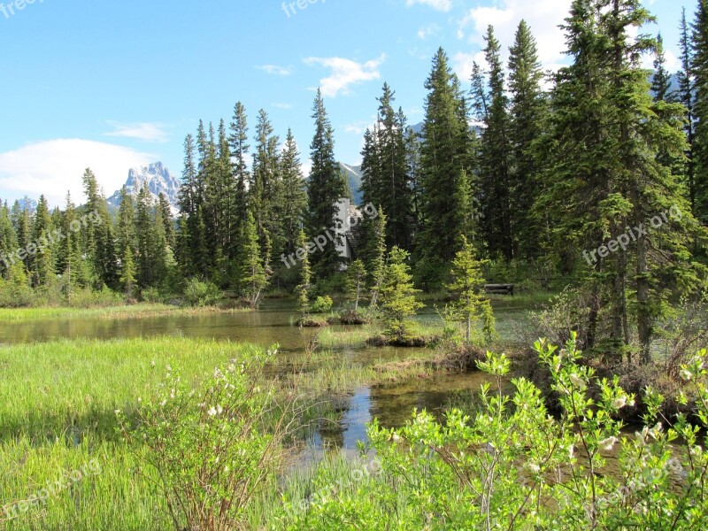 Canmore Alberta Canada Nature Rockies