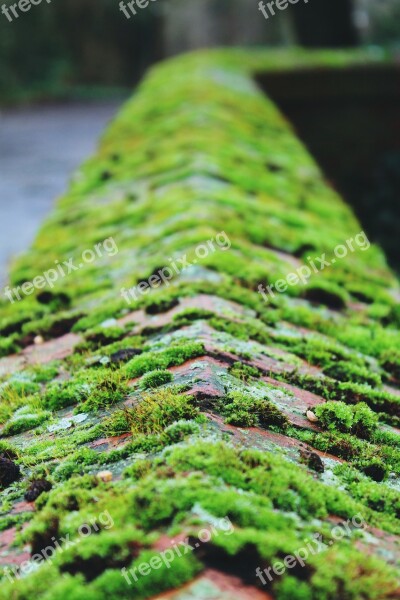 Moss Wall Stone Green Stone Wall