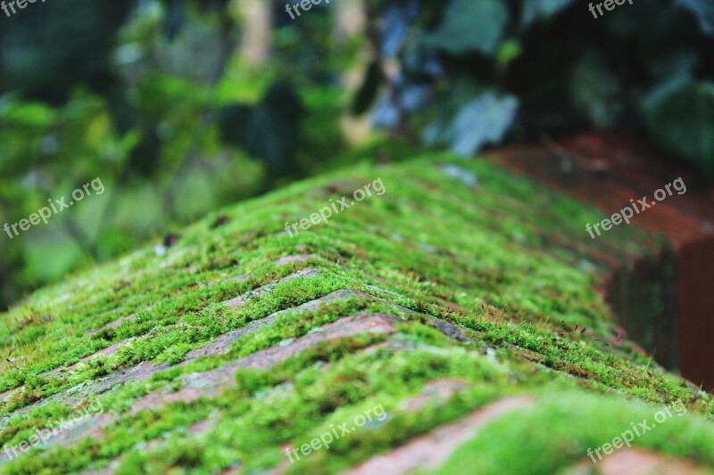 Moss Wall Stone Green Stone Wall