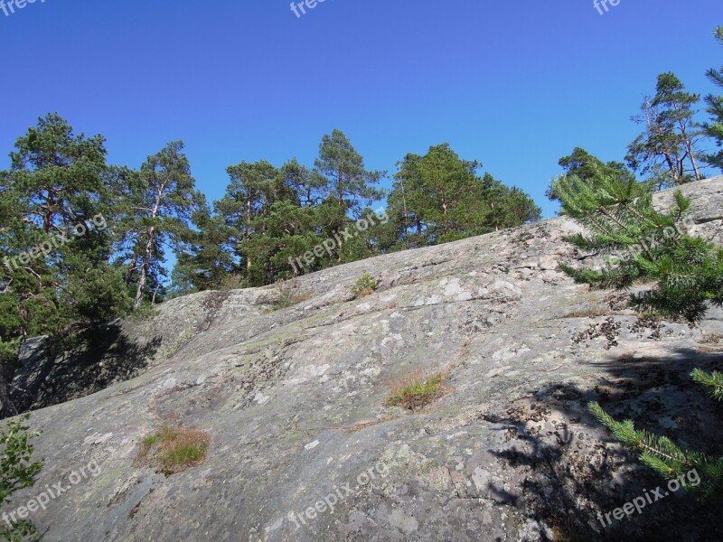 Rock Finnish Rise Forest Wood