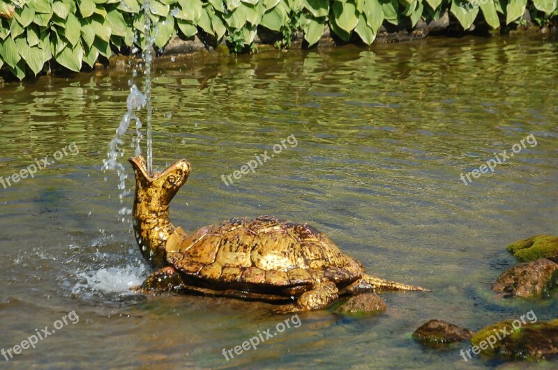 Gold Tortoise Fountain Antiques Art