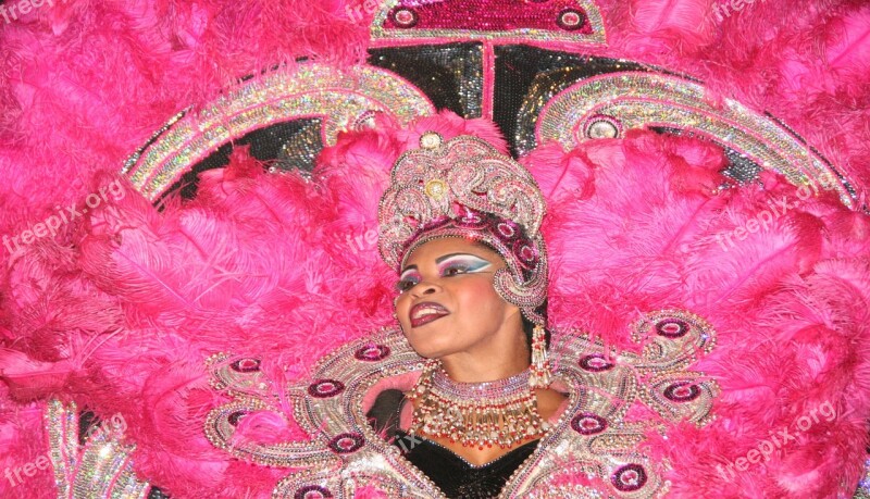 Lady Samba Brazil Pink Feathers Carnaval