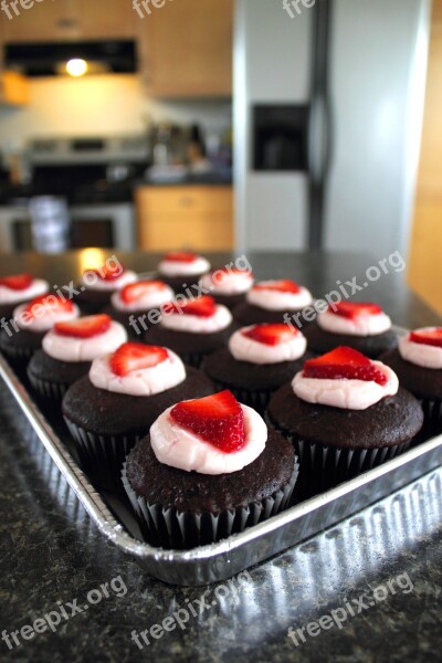 Food Sweets Cupcakes Frosting Chocolate