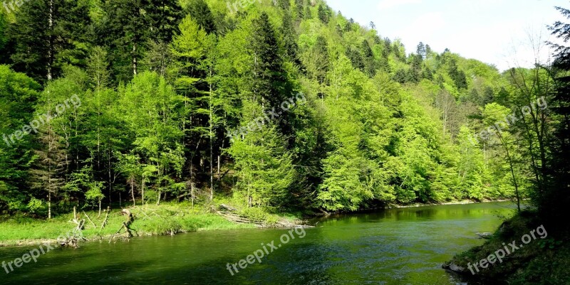 Pieniny Tree Spring Landscape Nature