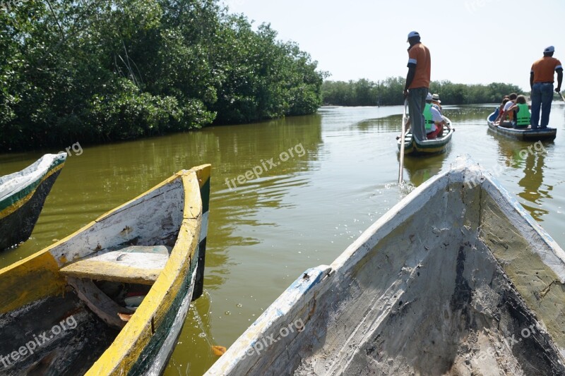 Mongroven Forest Water Fishing Boat