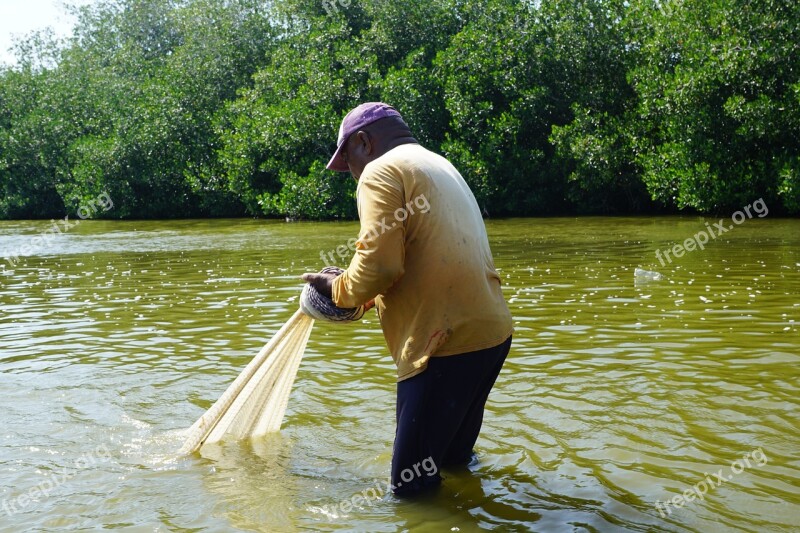 Mongroven Forest Water Fishing Man