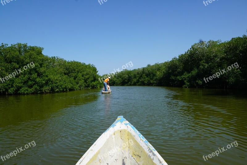 Mongroven Forest Water Boat Colombia