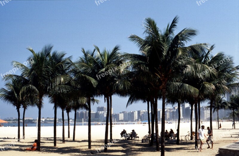 Palm Trees Beach Caribbean Vacations Mexico