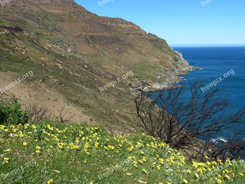 South Africa Sea Hout Bay Cape Peninsula Nature