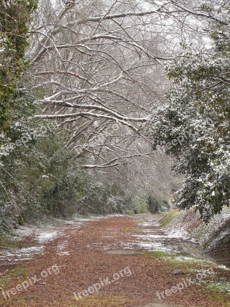 Winter Weather Cold Snow Nature